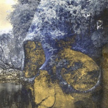 Bild Galerie Hilger NEXT