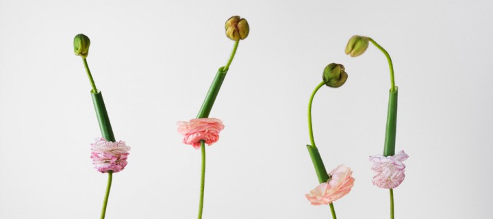 image photo: Natalie Strohmaier 