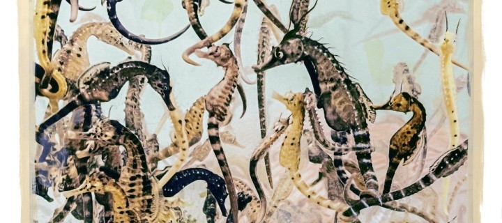 image copyright by Regina Anzenberger / Bildrecht 