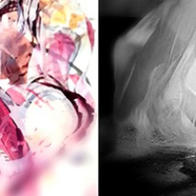 Bild ELLEN KORTH & HADMUT BITTIGER: TWO TO ONE