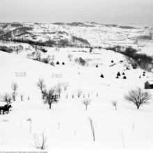 image THE CHRISTMAS SHOW