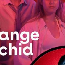 Bild LOTinConcert: Orange Orchid + Elena Shirin + DJ Ume