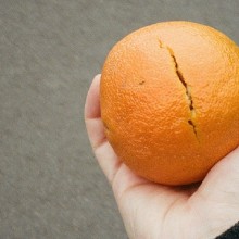 image Exhibition of the School Friedl Kubelka