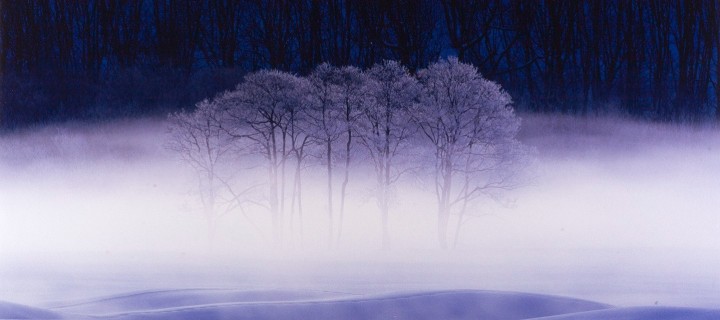 image Takeuchi Toshinobu 