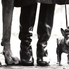 Bild OSTLICHT PHOTO AUCTION - 2. JUNI 2023 // 17 UHR