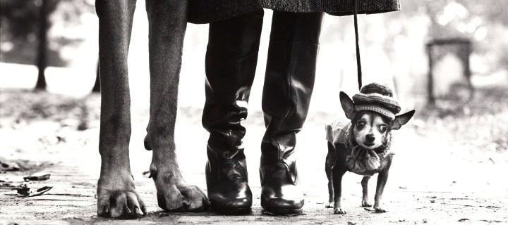 image  © ELLIOT ERWITT and HENRI CARTIER-BRESSON 