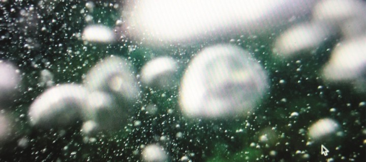 image Künstler:innen der Ausstellung 