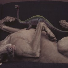 image OSTLICHT at PHOTO BASEL